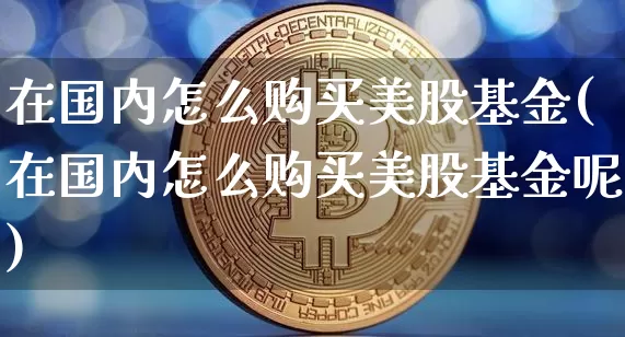 在国内怎么购买美股基金(在国内怎么购买美股基金呢)_https://www.czytfl.com_期货行情_第1张