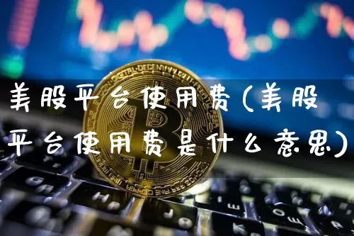 美股平台使用费(美股平台使用费是什么意思)_https://www.czytfl.com_期货走势_第1张