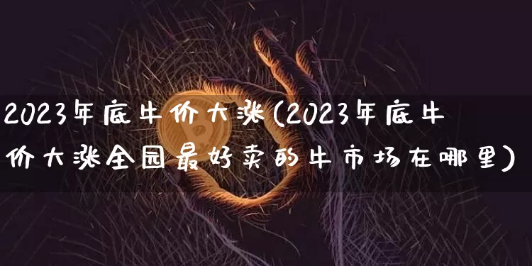 2023年底牛价大涨(2023年底牛价大涨全园最好卖的牛市场在哪里)_https://www.czytfl.com_期货价格_第1张