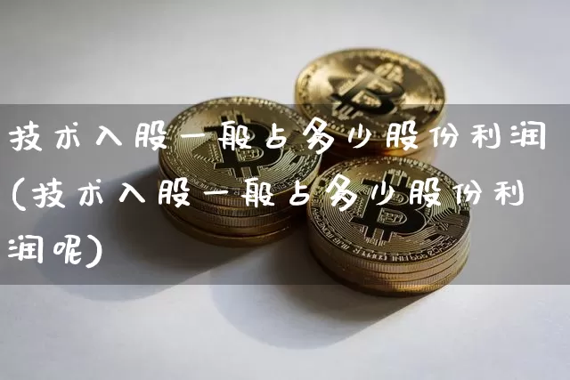 技术入股一般占多少股份利润(技术入股一般占多少股份利润呢)_https://www.czytfl.com_期货价格_第1张
