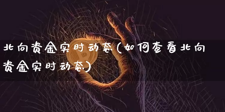 北向资金实时动态(如何查看北向资金实时动态)_https://www.czytfl.com_期货_第1张