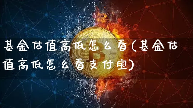 基金估值高低怎么看(基金估值高低怎么看支付宝)_https://www.czytfl.com_期货走势_第1张