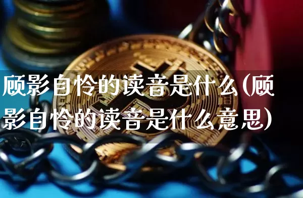 顾影自怜的读音是什么(顾影自怜的读音是什么意思)_https://www.czytfl.com_期货价格_第1张