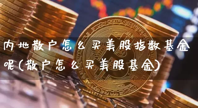 内地散户怎么买美股指数基金呢(散户怎么买美股基金)_https://www.czytfl.com_期货_第1张