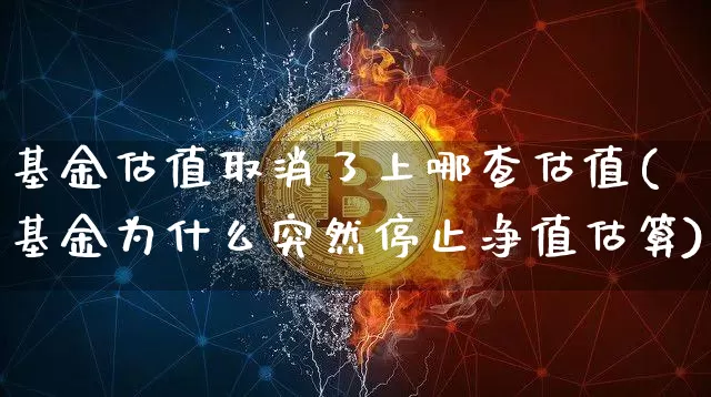基金估值取消了上哪查估值(基金为什么突然停止净值估算)_https://www.czytfl.com_期货走势_第1张