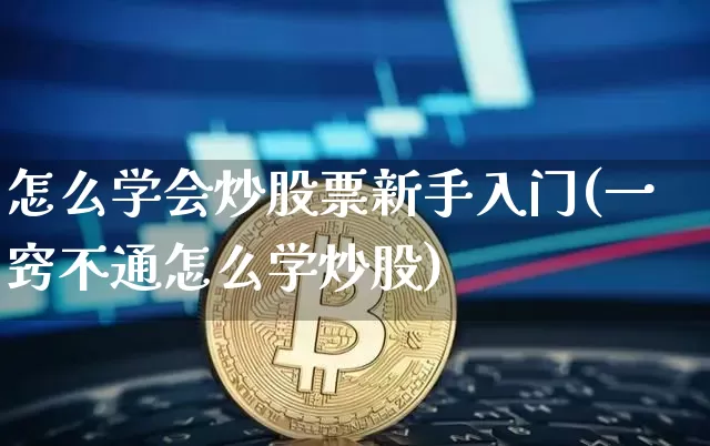 怎么学会炒股票新手入门(一窍不通怎么学炒股)_https://www.czytfl.com_期货走势_第1张