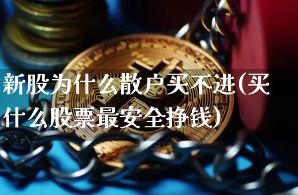 新股为什么散户买不进(买什么股票最安全挣钱)_https://www.czytfl.com_期货价格_第1张