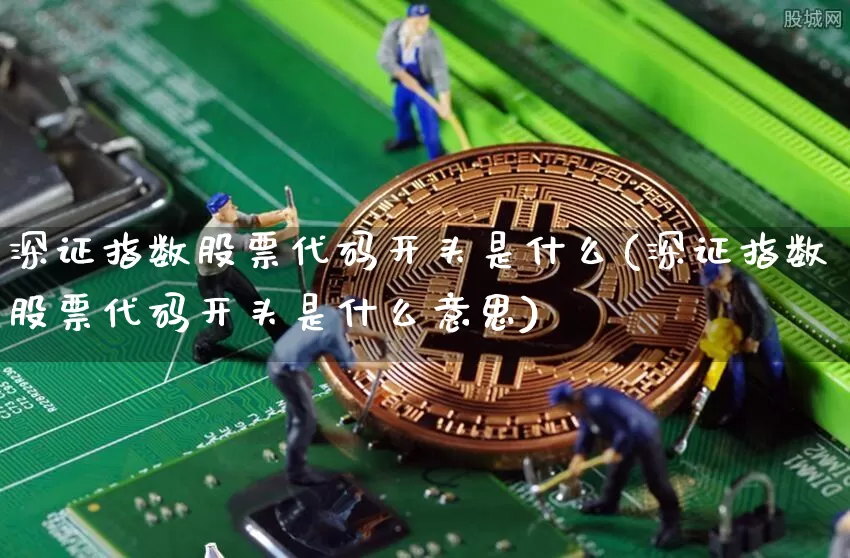 深证指数股票代码开头是什么(深证指数股票代码开头是什么意思)_https://www.czytfl.com_期货_第1张