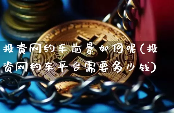 投资网约车前景如何呢(投资网约车平台需要多少钱)_https://www.czytfl.com_期货走势_第1张