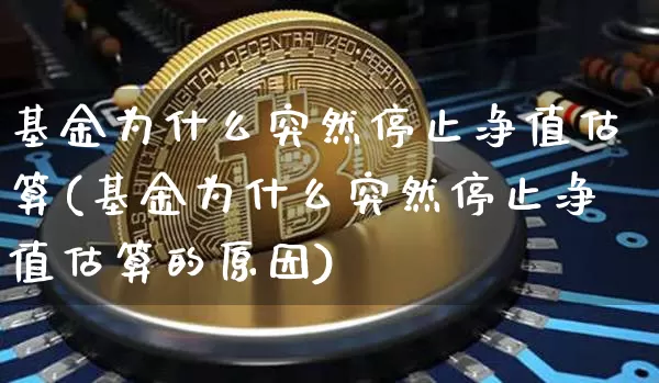 基金为什么突然停止净值估算(基金为什么突然停止净值估算的原因)_https://www.czytfl.com_期货走势_第1张