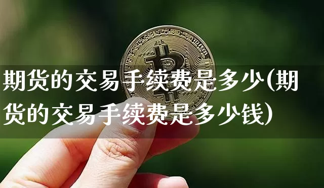 期货的交易手续费是多少(期货的交易手续费是多少钱)_https://www.czytfl.com_期货价格_第1张