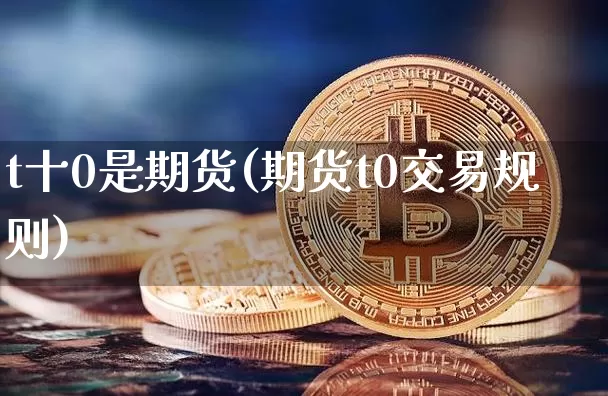t十0是期货(期货t0交易规则)_https://www.czytfl.com_期货行情_第1张