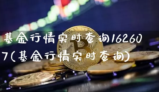 基金行情实时查询162607(基金行情实时查询)_https://www.czytfl.com_期货价格_第1张