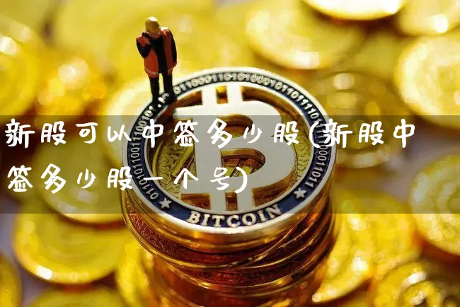 新股可以中签多少股(新股中签多少股一个号)_https://www.czytfl.com_期货价格_第1张