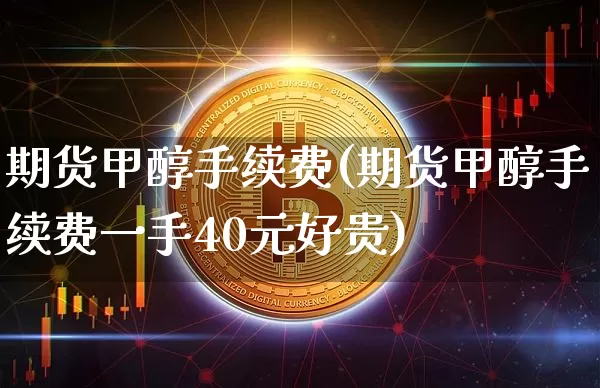期货甲醇手续费(期货甲醇手续费一手40元好贵)_https://www.czytfl.com_期货价格_第1张