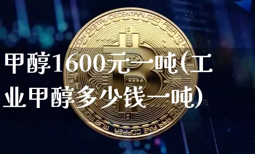 甲醇1600元一吨(工业甲醇多少钱一吨)_https://www.czytfl.com_期货价格_第1张