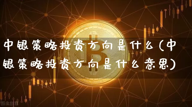 中银策略投资方向是什么(中银策略投资方向是什么意思)_https://www.czytfl.com_期货价格_第1张