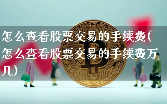 怎么查看股票交易的手续费(怎么查看股票交易的手续费万几)_https://www.czytfl.com_期货走势_第1张