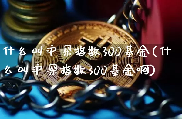 什么叫沪深指数300基金(什么叫沪深指数300基金啊)_https://www.czytfl.com_期货走势_第1张