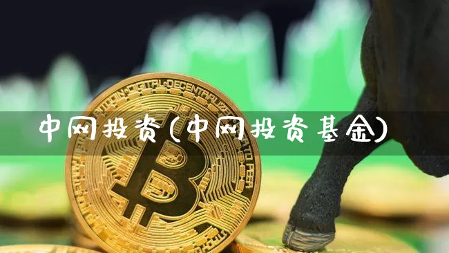 中网投资(中网投资基金)_https://www.czytfl.com_期货_第1张