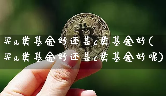 买a类基金好还是c类基金好(买a类基金好还是c类基金好呢)_https://www.czytfl.com_期货行情_第1张