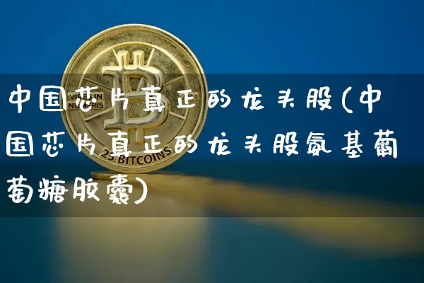 中国芯片真正的龙头股(中国芯片真正的龙头股氨基葡萄糖胶囊)_https://www.czytfl.com_期货走势_第1张