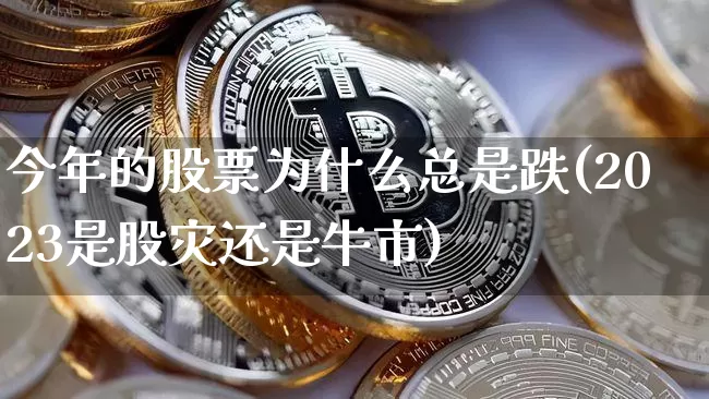 今年的股票为什么总是跌(2023是股灾还是牛市)_https://www.czytfl.com_期货_第1张