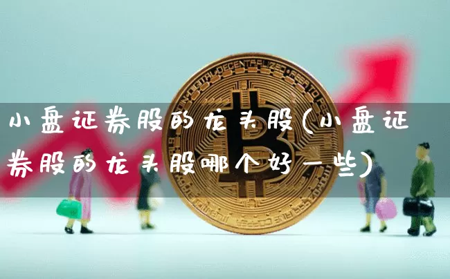 小盘证券股的龙头股(小盘证券股的龙头股哪个好一些)_https://www.czytfl.com_期货_第1张