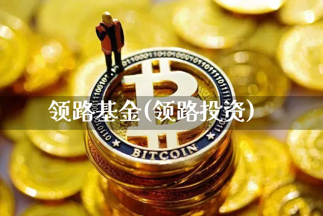 领路基金(领路投资)_https://www.czytfl.com_期货价格_第1张