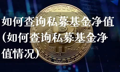 如何查询私募基金净值(如何查询私募基金净值情况)_https://www.czytfl.com_期货价格_第1张