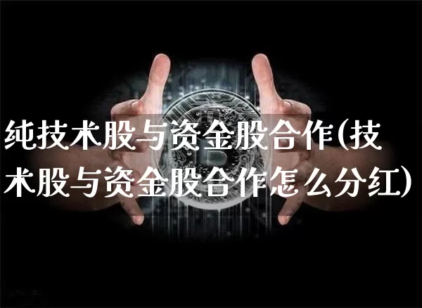 纯技术股与资金股合作(技术股与资金股合作怎么分红)_https://www.czytfl.com_期货_第1张