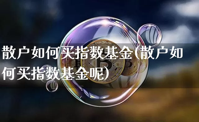 散户如何买指数基金(散户如何买指数基金呢)_https://www.czytfl.com_期货走势_第1张