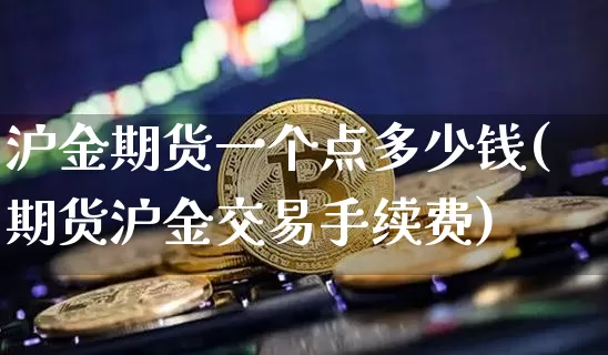 沪金期货一个点多少钱(期货沪金交易手续费)_https://www.czytfl.com_期货行情_第1张