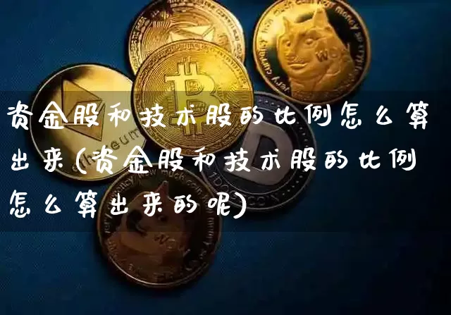 资金股和技术股的比例怎么算出来(资金股和技术股的比例怎么算出来的呢)_https://www.czytfl.com_期货走势_第1张