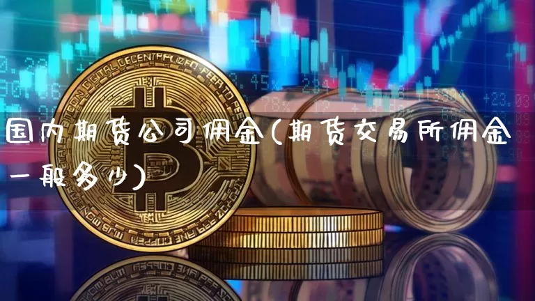 国内期货公司佣金(期货交易所佣金一般多少)_https://www.czytfl.com_期货交易_第1张