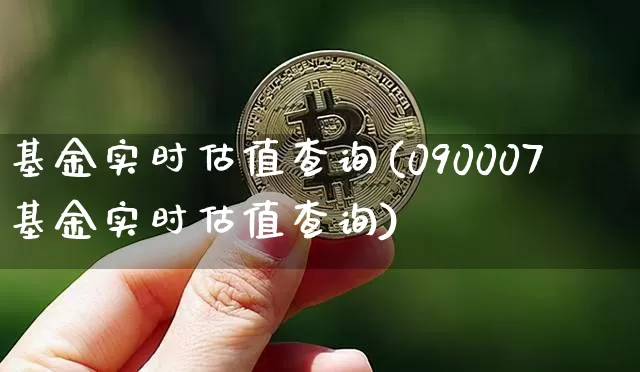 基金实时估值查询(090007基金实时估值查询)_https://www.czytfl.com_期货行情_第1张