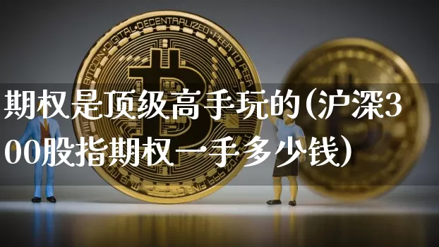 期权是顶级高手玩的(沪深300股指期权一手多少钱)_https://www.czytfl.com_期货价格_第1张