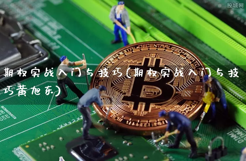 期权实战入门与技巧(期权实战入门与技巧黄旭东)_https://www.czytfl.com_期货价格_第1张