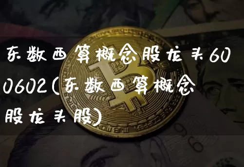 东数西算概念股龙头600602(东数西算概念股龙头股)_https://www.czytfl.com_期货_第1张