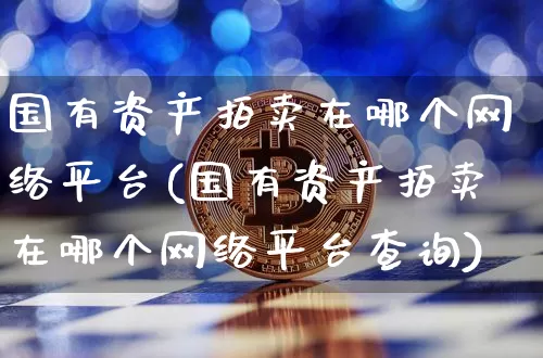 国有资产拍卖在哪个网络平台(国有资产拍卖在哪个网络平台查询)_https://www.czytfl.com_期货_第1张