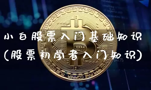 小白股票入门基础知识(股票初学者入门知识)_https://www.czytfl.com_期货走势_第1张