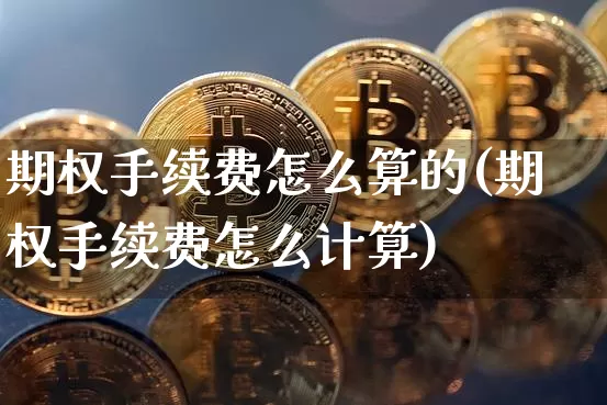 期权手续费怎么算的(期权手续费怎么计算)_https://www.czytfl.com_期货行情_第1张