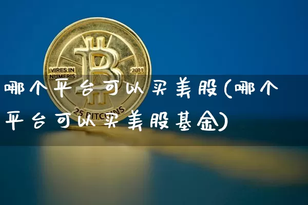 哪个平台可以买美股(哪个平台可以买美股基金)_https://www.czytfl.com_期货价格_第1张