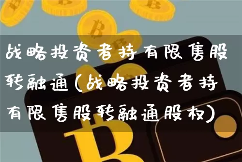 战略投资者持有限售股转融通(战略投资者持有限售股转融通股权)_https://www.czytfl.com_期货_第1张