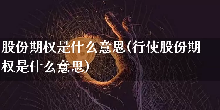 股份期权是什么意思(行使股份期权是什么意思)_https://www.czytfl.com_期货行情_第1张