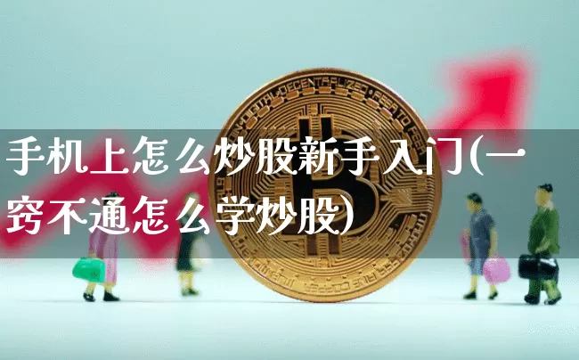 手机上怎么炒股新手入门(一窍不通怎么学炒股)_https://www.czytfl.com_期货走势_第1张