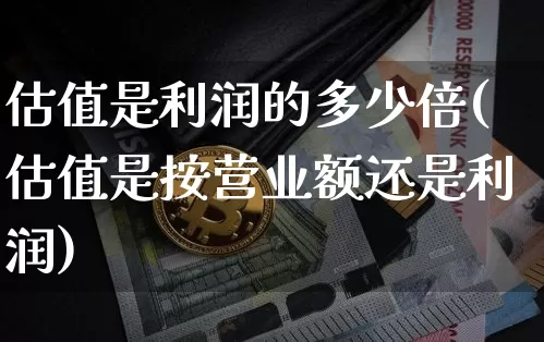估值是利润的多少倍(估值是按营业额还是利润)_https://www.czytfl.com_期货走势_第1张