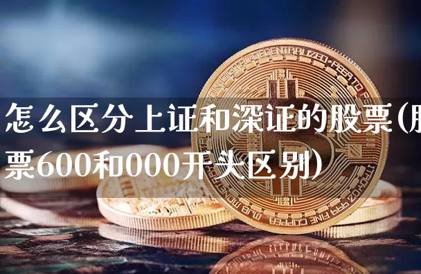 怎么区分上证和深证的股票(股票600和000开头区别)_https://www.czytfl.com_期货_第1张