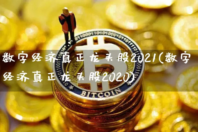 数字经济真正龙头股2021(数字经济真正龙头股2020)_https://www.czytfl.com_期货价格_第1张