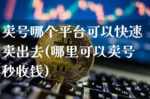 卖号哪个平台可以快速卖出去(哪里可以卖号秒收钱)_https://www.czytfl.com_期货走势_第1张